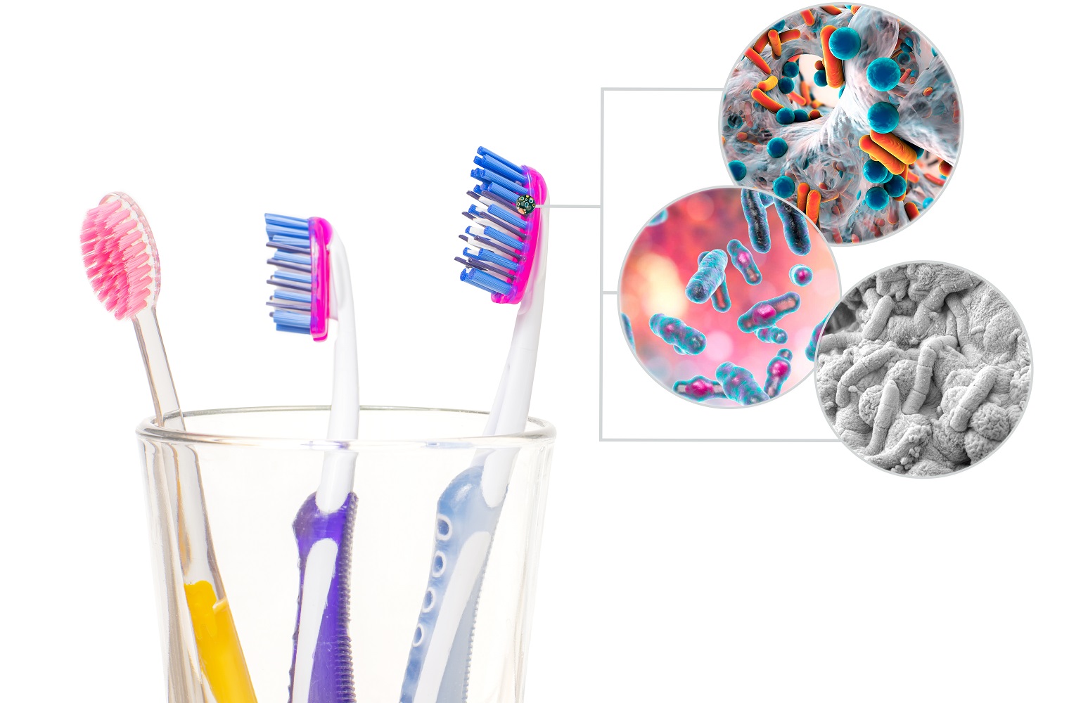 Toothbrush replacement dental hygiene dentist in sugar land tx 1000px